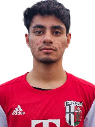 Ramin Rajabi