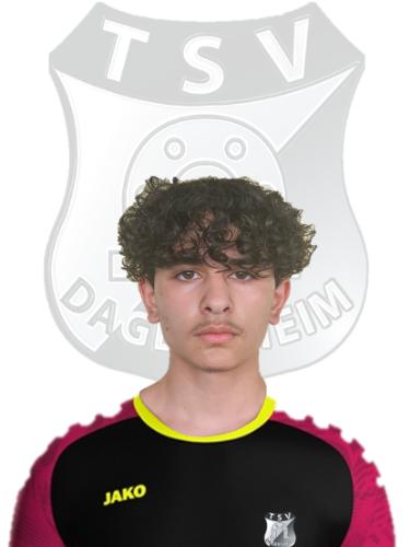 Benhur Enis Sarioglu