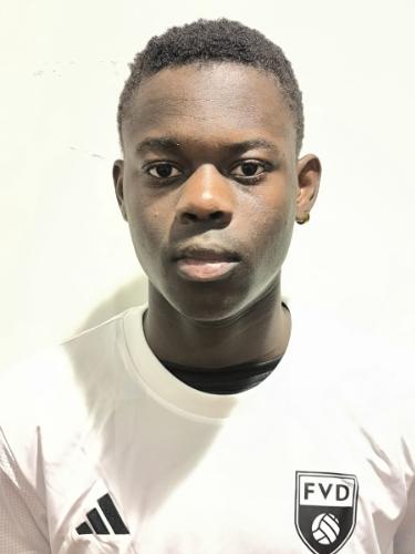 Wilfried Ilesammi Olakunle Fagbenro