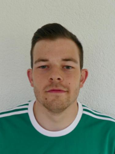 Dominik Heinrich