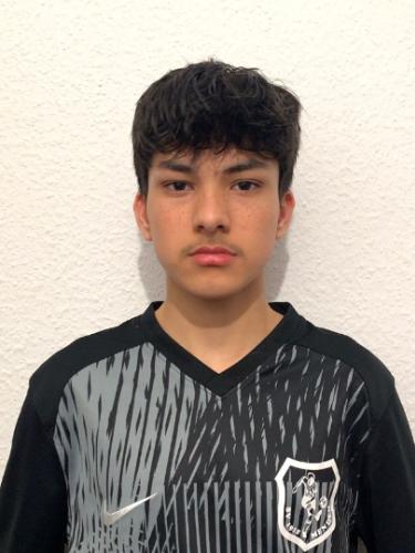 Mojtaba Amiri