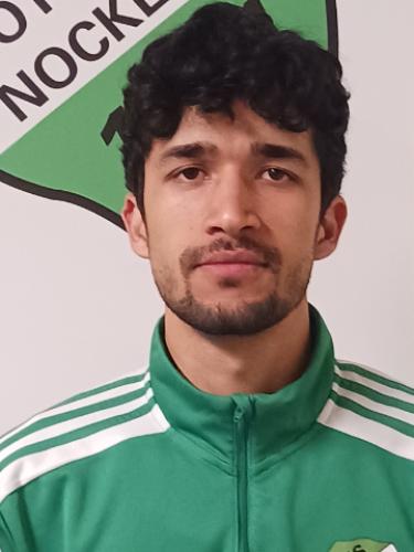 Younis Salimi