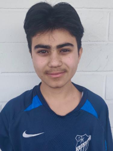 Efe Ali Ayaz