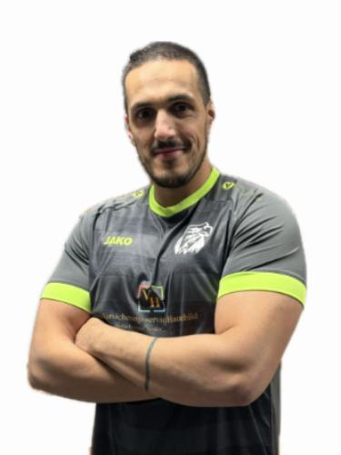Hamza Mehdi