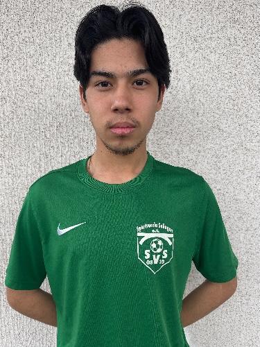 Amir Hosain Kholoosi