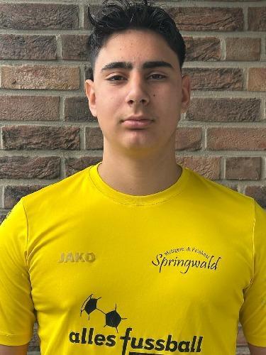 Daniel Shahinfarshchi