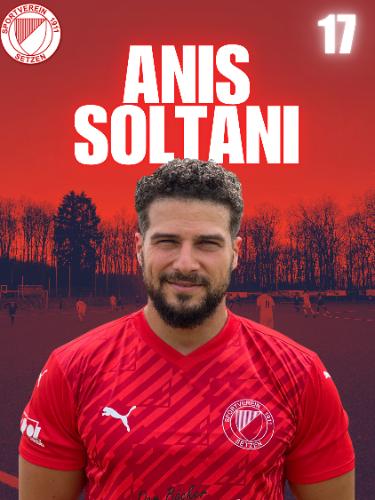Anis Soltani
