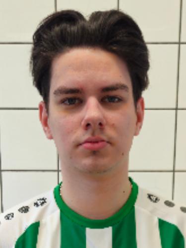 Herbert Wigel