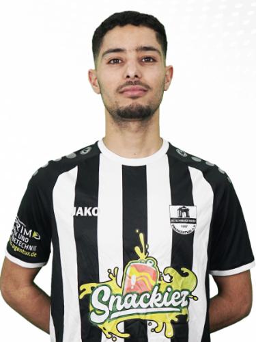 Mounir Afaila