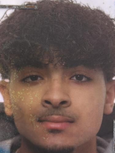 Mark Youssef Banoub