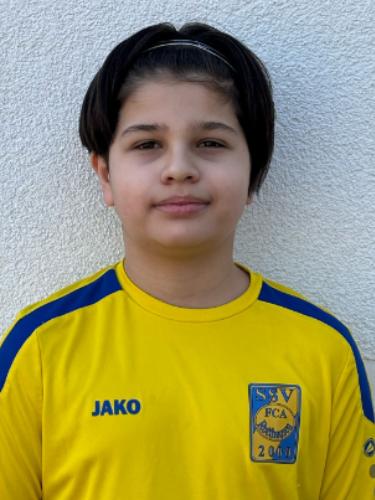 Mehmet Shemoviq