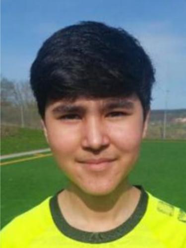 Ali Mohammadi
