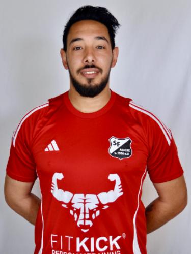 Ali Mortada