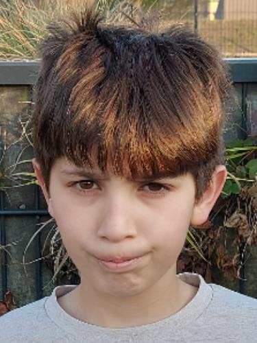 Francesco Michele Farina