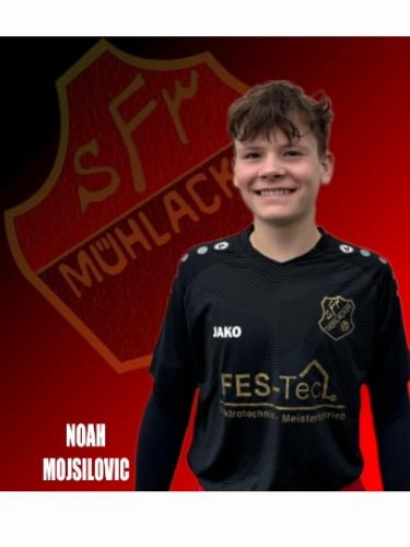 Noah Mojsilovic