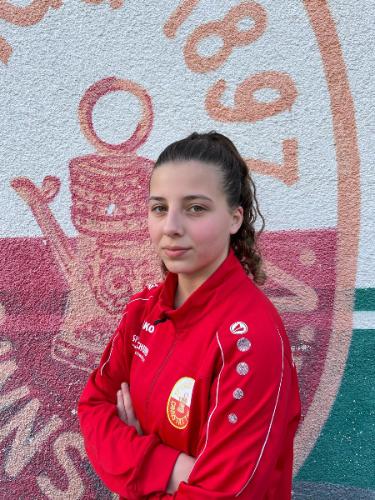 Mesliyna Misir