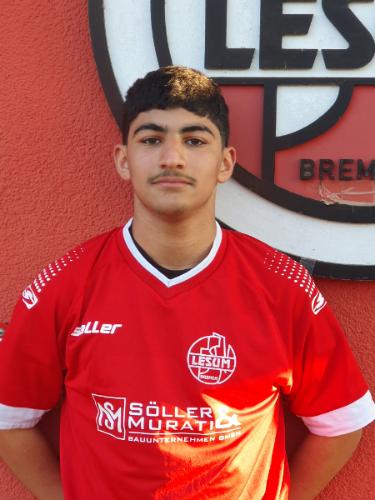 Batuhan Yigit Artiklar