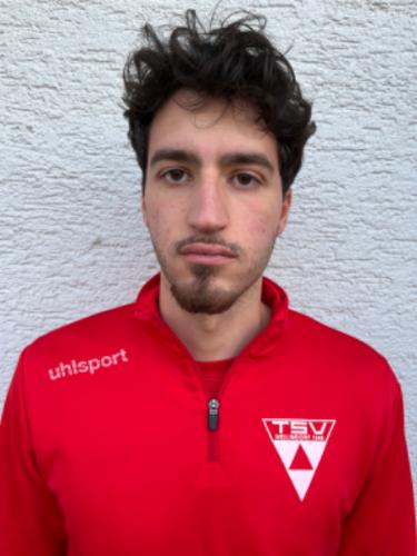 Andrea Ferrara