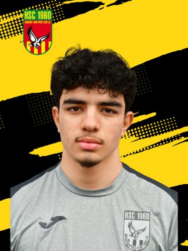 Mohammad Alham Alokozay