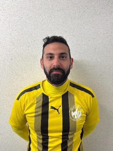 Pedram Emanipour