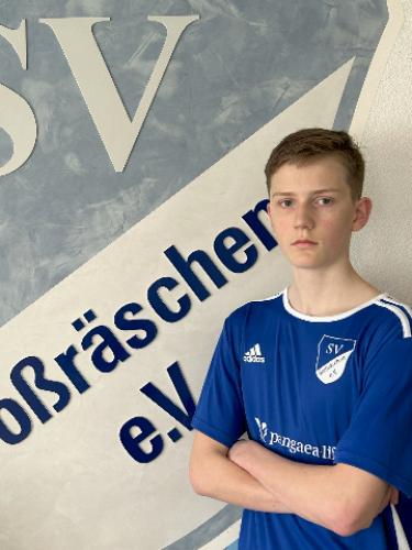 Theo Hanke
