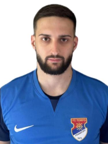 Milan Mitrovic
