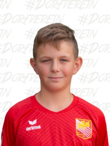 Milan Nikolaus