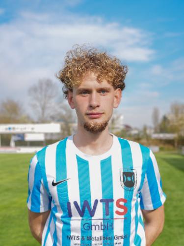 Roman Hann