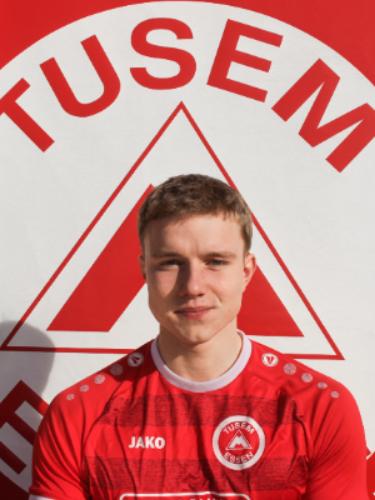Theo Fritsche