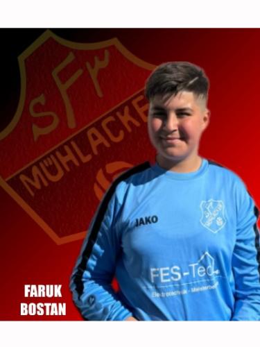 Faruk Bostan