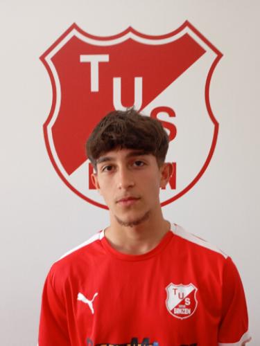 Diljaver Ahmedov
