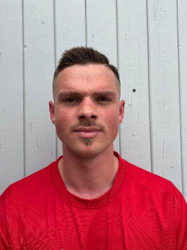 Dominik Bergmann