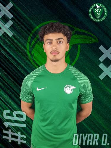 Diyar Daoud