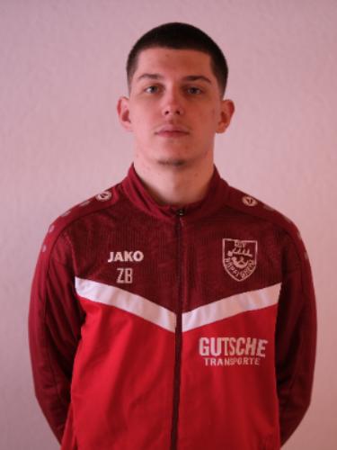 Zoran Borisavljevic