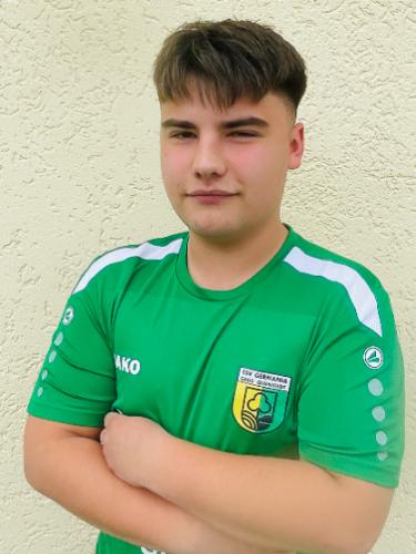 Fabian Marvin Lippert