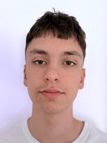 Luis Dias Martins Andre