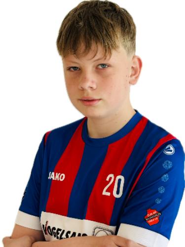 Theo Wilmes