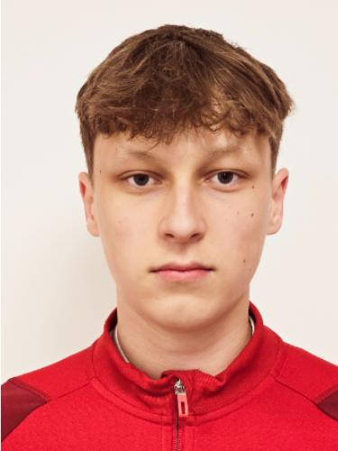 Hendrik Tiaden