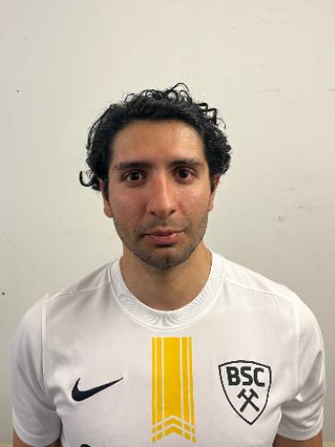 Reza Gholami