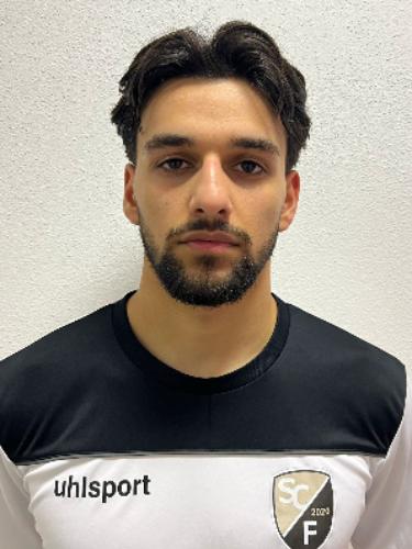 Arash Mashrafi