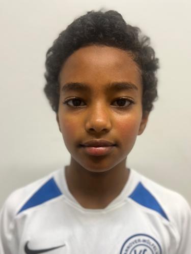 Ibrahim Mohamed Tagelsir Hassan