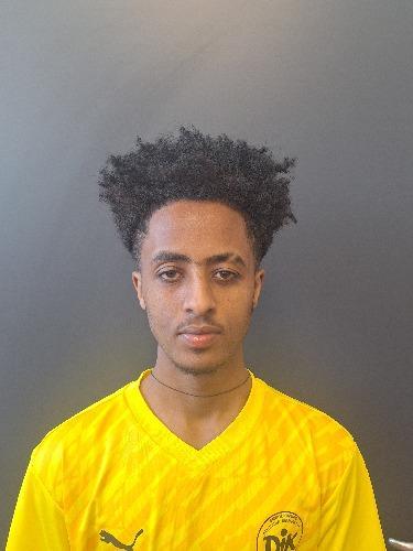 Milkias Michael Mengsteab