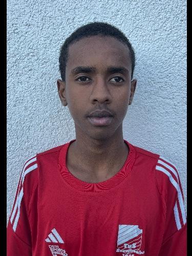 Ali Ibrahim Ali