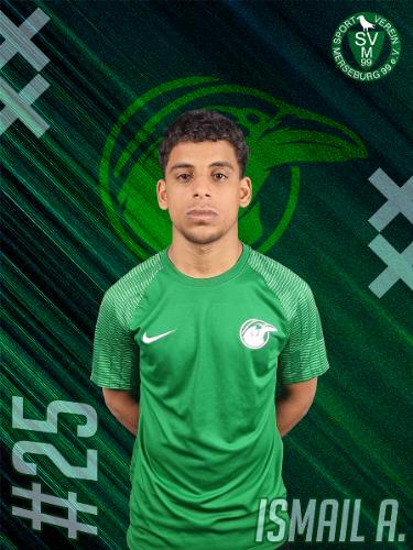 Ismail Alsaleh