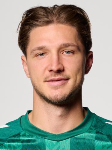 Niklas Stark