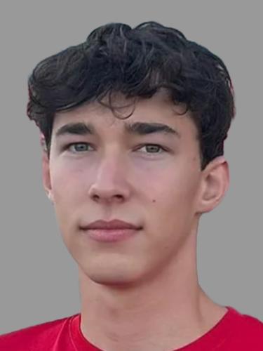 Luca Nickel