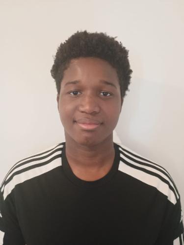 Andrew Uchenna Nwodo