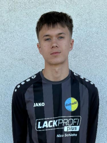 Theo Bergmann