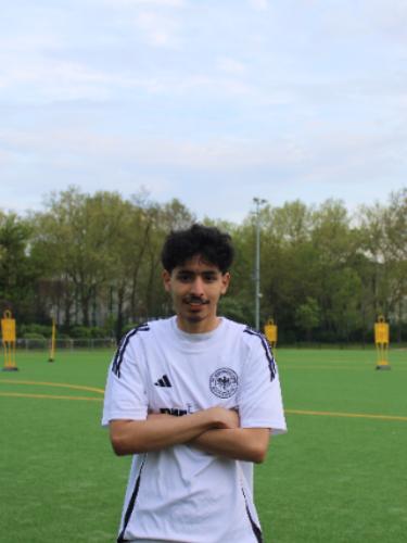 Mohamed A A Esweiei