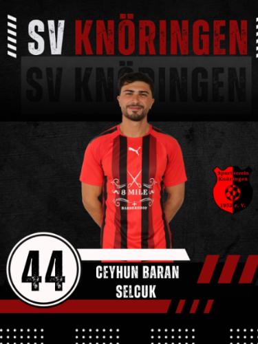 Ceyhun Baran Selcuk